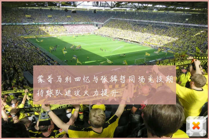 蒙哥马利回忆与张稀哲同场竞技期待球队进攻火力提升